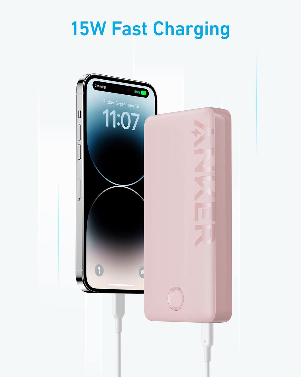 Anker 325 Power Bank (PowerCore 20K II) Rosas | Mexico ZWF958304